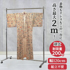 着物 業務用 ハイ ハンガーラック 組立不要 頑丈 高さ2m 幅120cm 耐荷重200kg F-class1200H 壊れない 高耐荷重 店舗什器 キャスター アパレル ショップ 店舗用 大量収納 保管 日本製 スチール製 法人向け 事業所用 ドレス ロングコート ロング丈 ハンガー什器 タフグラン