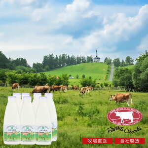 �y�q�꒼���z�W���[�W�[���� 900ml×6�{ �������� �k�C�� ���l �W���[�W�[�� �m���z���i�C�Y �t�@�[���Y���c