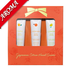 fC[A}WpbYk ~jnhN[ZbgyϕibXLPAbYb{fBPAbnhN[bv[gbMtgz