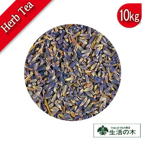ティー リーフ 紅茶の人気商品 通販 価格比較 価格 Com