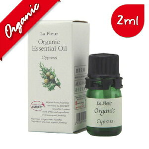 Et[bTCvX 2mlI[KjbNbGbZVICbA}ICbbyHLS_DUzyRCPzyRrjΉiz