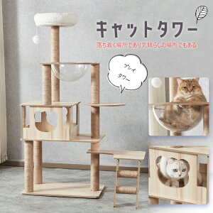 Lbg^[ u ؐ L ܂Ƃ ybg 142cm