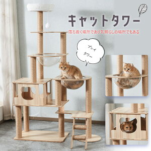 Lbg^[ u ؐ L ܂Ƃ ybg 165cm lR ˂