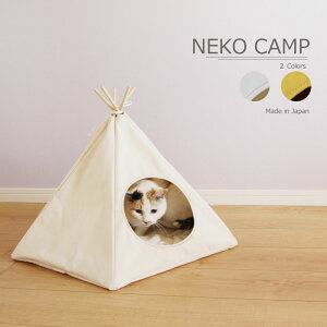 LLv@eg@z@11@ybgeg@5p`@camp@Lv@˂@lRL