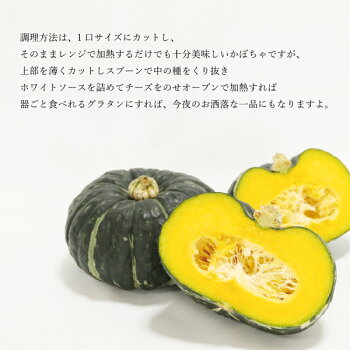 楽天市場 送料無料 坊ちゃん かぼちゃ 4玉入 とれたて 熊本 農家直送 鮮度1番 カボチャ 南瓜 ホクホク 400 600グラム ハウス品 02p05sep15 ｂｉｇ ｒｉｖｅｒ