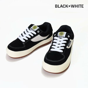 m[XEF[u northwave/Xj[J[/GXvb\ XG[h/NW-001/fB[X YyK戵z