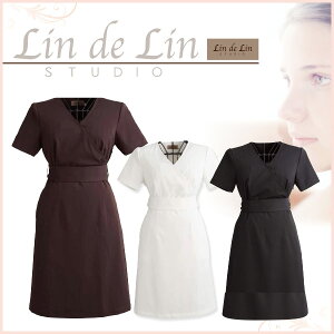 Lin de Lin  f  s[X1406 LDL-1406 Ɩp T GXe Ki CML V[GG GXejtH[ T ƕ Vv