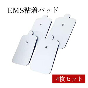 EMS pbg()4Zbg