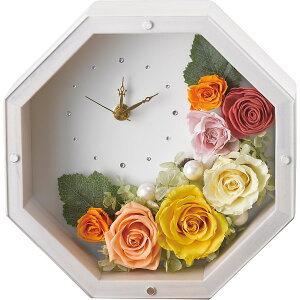 j Ԃ LOLY zCg vU[uht[ v[g vU[uht[ v Mtg oYj j Cj @v TԂ  Au Mtg  Mtg