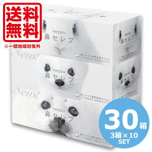 鼻セレブ 引っ越し 挨拶 粗品 鼻セレブ 引っ越し挨拶ギフト ネピア 鼻セレブ ギフト 引っ越し 挨拶 鼻セレブ ティッシュ ネピア ローションティシュ 鼻セレブ 30箱 3箱 10セット 引っ越し 挨拶
