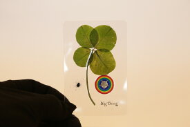 楽天市場 四葉 の クローバー グッズの通販