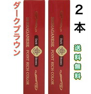 2本　ビアント 部分用白髪染め シラガネーゼ ポイントリッチカラー ダークブラウン 20g　スティック　持…