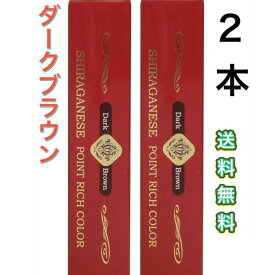 2本　ビアント 部分用白髪染め シラガネーゼ ポイントリッチカラー ダークブラウン 20g　スティック　持ち歩き　赤　簡単　女性