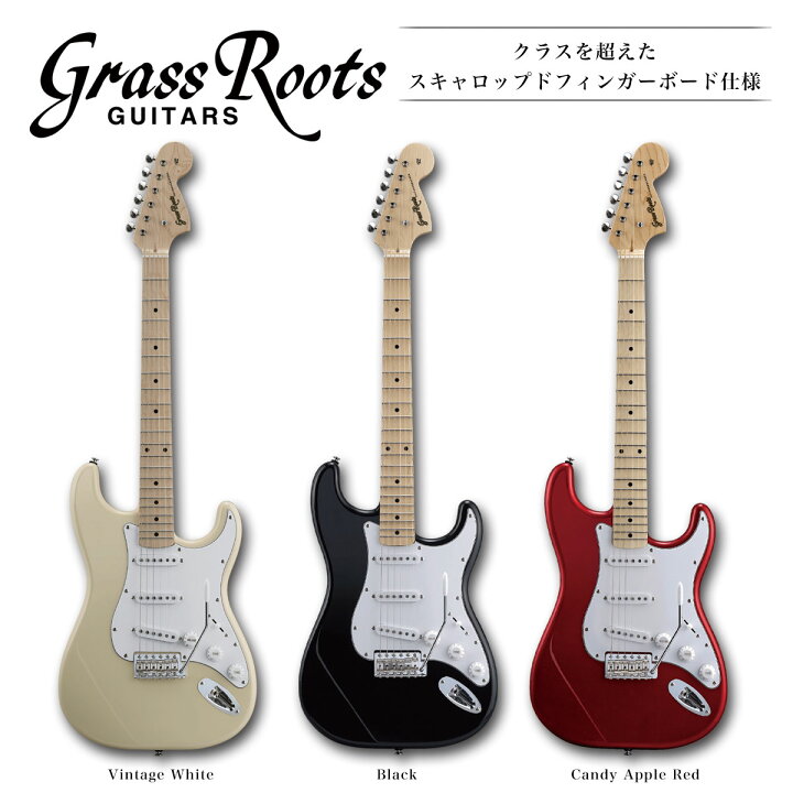 楽天市場】GrassRoots G-ST-SC/M [グラスルーツ][ST Type,STタイプ  