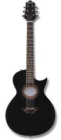 GrassRoots G-AC-BASS / See Thru Black [アコースティックベース][アコベ][入門][初心者][グラスルーツ] [メンテナンス無料]【受注生産】