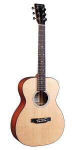 Martin 000Jr-10 [AR[XeBbNM^[][}[eB][]