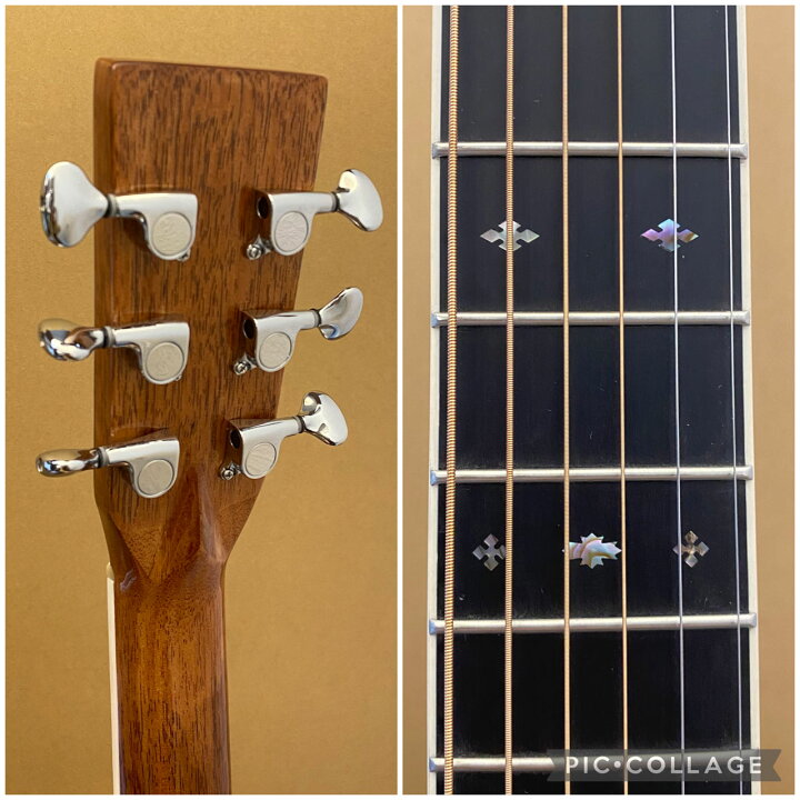 楽天市場】Three S W-460 [アコースティックギター][鈴木バイオリン 
