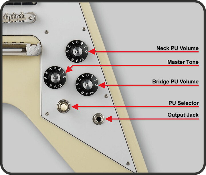 楽天市場】EDWARDS E-FV-LTD / Cherry [エドワーズ][フライングVタイプ 