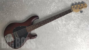 Sterling by MUSIC MAN S.U.B RAY5(Walnut Satin) [�����e�i���X����]�y���[�\�z