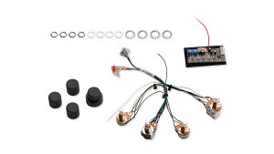 Seymour Duncan Steve Baily Tone Circuits STC-3ASB or 3PSB [�Z�C���A�_���J��][�s�b�N�A�b�v][�������K�i] �y�󒍐��Y 3�`4�����z