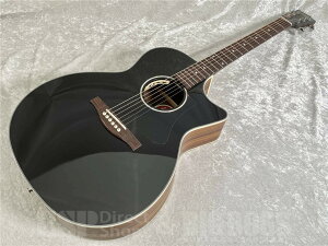 Eastman PCH2-GACE-BK [AR[XeBbNM^[][GAR]y[\z