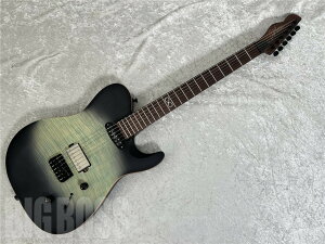 CHAPMAN GUITARS Law Maker Legacy (Ocean Moss Blue) [GLM^[]y[\zy}\I|Cg5{I`10/27ij9:59܂Łz
