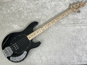 Sterling by MUSIC MAN S.U.B RAY4 (Black) [eiX]y[\zyyVX[p[Z[I|Cg5{I`9/11i؁j1:59܂Łz