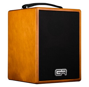 GR Guitar WD Acoustic 5 []