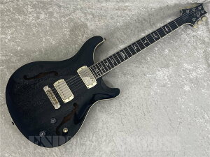 Paul Reed Smith(PRS) SE Hollowbody Standard (Dog Hair Smokeburst) [eiX] y[\zyyVX[p[Z[I|Cg5{I`12/11i؁j1:59܂Łz