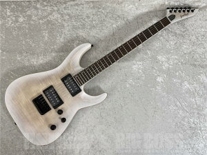 GrassRoots G-HORIZON-FX / See Thru White Sunburst Satin [�z���C�]���^�C�v][�G���L�M�^�[] [�����e�i���X����] �y���[�\�z�i���摜�̓T���v���ł��B�ؖڂ͈�{��{�قȂ�܂��j