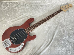Sterling by MUSIC MAN S.U.B RAY4 (Walnut Satin) [�����e�i���X����] �y���[�\�z