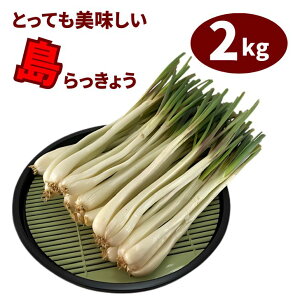 傤 yt   2kg bLE ܂傤 ɍ]  傤 Е Ђ L` || ͔|  c  ӂ邳