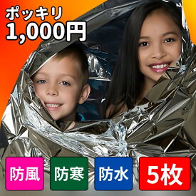 【 ポッキリ1000円 】 アルミブランケット 5枚セット 静音 エマージェンシーシート アルミシート 防災セット 災害用 避難グッズ 防寒 保温 防水 防風 キャンプ アウトドア 登山 コンパクト 家族用 サバイバルシート 断熱 送料無料 防災関連グッズ スポーツ レジャー 保温