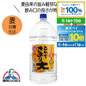 本格麦焼酎 これできまり大 25度 5000ml 5L 鹿児島県 若松酒造 『HSH』