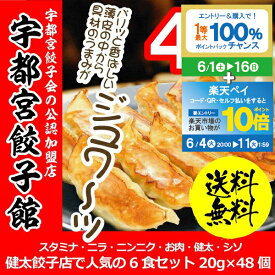 【スーパーSALE期間★P10倍(条件有)】餃子 ぎょうざ ギフト 送料無料 宇都宮餃子館 健太餃子 人気の6種詰め合わせセット 20g×48個 食品・冷凍品 メーカー直送 さくら食品