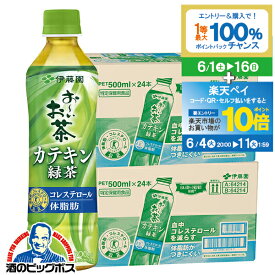 【スーパーSALE期間★P10倍(条件有)】特保 トクホ 緑茶 送料無料 伊藤園 お～いお茶 カテキン緑茶 500ml×2ケース/48本《048》『ITO』