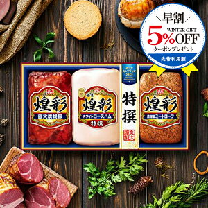 \早割★5%OFFクーポン/ 【予約】【2025年11月10日以降発送】お歳暮 2025 ハム ギフト セット ロースハム 送料無料 丸大食品 {MV-383 煌彩セット}『MRD』 冬ギフト お年賀 御年賀 プレゼント 贈り物