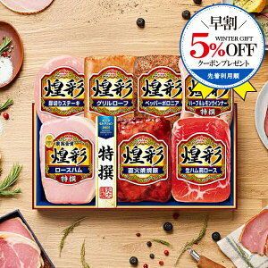 \早割★5%OFFクーポン/ 【予約】【2025年11月10日以降発送】お歳暮 2025 ハム ギフト セット ロースハム 送料無料 丸大食品 {MV-537 煌彩セット}『MRD』 冬ギフト お年賀 御年賀 プレゼント 贈り物