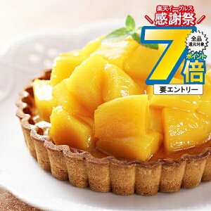 ΕMtg 2025  XC[c mَq  Mtg Zbg lߍ킹 uDv^g }S[ Ⓚ 0820061wSKTx 񂹃O a j j 蕨