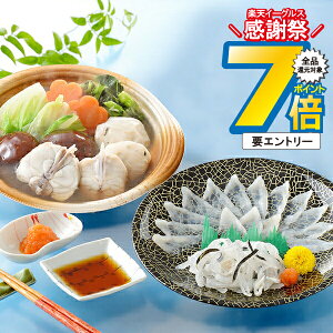 16܂ŁP7{+3{L ΕMtg 2025  Mtg ӂ tO uւƂ{XvƂӂhgƂӂ H Zbg Ⓚ 2480085wSKTx lߍ킹Zbg a j