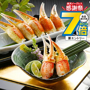 1410`P7{+3{L ΕMtg 2025  Mtg I  {C킢ɒ Ⓚ 3440440wSKTx lߍ킹 񂹃O Zbg a j j 蕨 