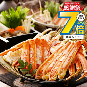 ΕMtg 2025  Mtg I Jj {C킢ɋr Ⓚ 3440529wSKTx lߍ킹 񂹃O Zbg a j j 蕨 