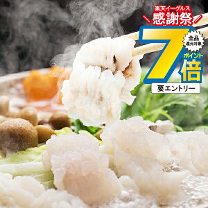 16܂ŁP7{+3{L ΕMtg 2025  Mtg  Zbg 啪 ͂ Ⓚ 4660032wSKTx lߍ킹 񂹃O Zbg a j j 蕨 