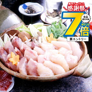 ΕMtg 2025  Mtg  Zbg CYӂ Ⓚ 4660068wSKTx lߍ킹 񂹃O Zbg a j j 蕨 