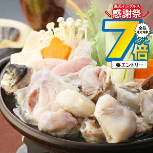 16܂ŁP7{+3{L ΕMtg 2025  Mtg  Zbg 啪LYƂӂZbg Ⓚ 4660080wSKTx lߍ킹 񂹃O Zbg a j j 