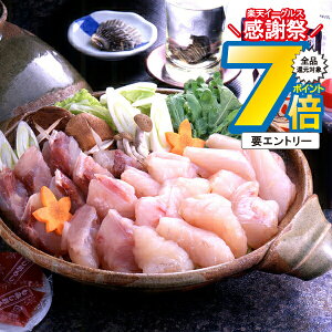 ΕMtg 2025  Mtg  Zbg CYӂ Ⓚ 4660100wSKTx lߍ킹 񂹃O Zbg a j j 蕨 