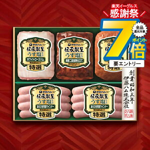 1410`P7{+3{L Ε 2025 n Mtg Zbg [Xn  ɓn {GMU-43 `}wITHx ~Mtg N N v[g 蕨 HiMtg Ε