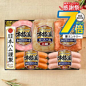 16܂ŁP7{+3{L y\zy2025N1120ȍ~zΕ 2025 n Mtg Zbg [Xn  {n {NH-501 {ih}wNHHx {nMtg ~Mtg N N 