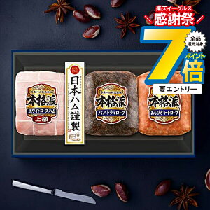 16܂ŁP7{+3{L y\zy2025N1120ȍ~zΕ 2025 n Mtg Zbg [Xn  {n {NH-337 {ih}wNHHx {nMtg ~Mtg N N 