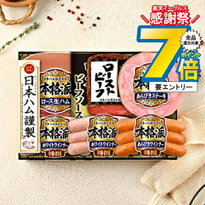 16܂ŁP7{+3{L y\zy2025N1120ȍ~zΕ 2025 n Mtg Zbg [Xn  {n {NRB-50 {ih}wNHHx {nMtg ~Mtg N N 